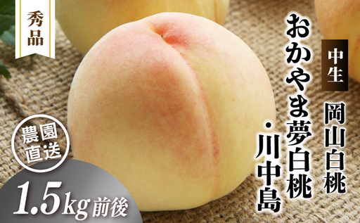 岡山白桃 (中生/おかやま夢白桃・川中島)秀品 1.5kg前後 4〜6玉 momo44 [配送不可地域:北海道/沖縄県/離島] [jujy080-01]