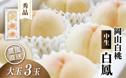 岡山白桃 白鳳 秀品 大玉3玉 momo30 [配送不可地域:北海道/沖縄県/離島] [jujy081-01]