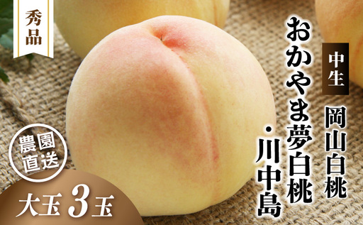 岡山白桃 おかやま夢白桃・川中島 秀品 大玉3玉 momo48 [配送不可地域:北海道/沖縄県/離島] [jujy083-01]