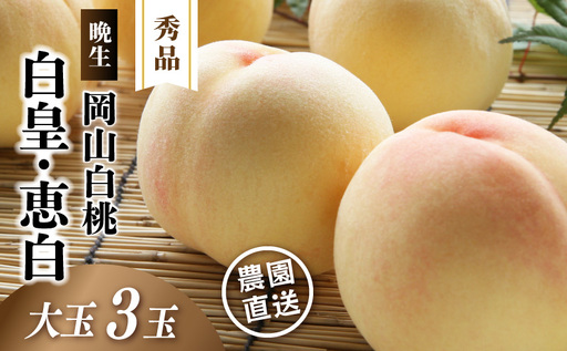 岡山白桃 (晩生/白皇・恵白) 秀品 大玉3玉 momo66 [配送不可地域:北海道/沖縄県/離島] [jujy084-01]