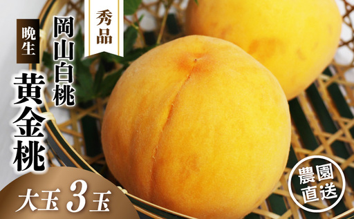 岡山白桃 (晩生/黄金桃) 秀品 大玉3玉 momo69 [配送不可地域:北海道/沖縄県/離島] [jujy085-01]
