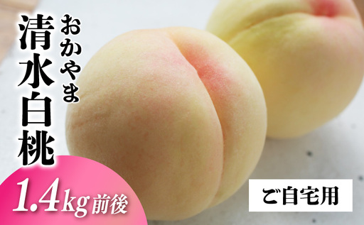 清水白桃 ご自宅用お試しサイズ 1.4kg前後 momo70 [配送不可地域:北海道/沖縄県/離島] [jujy087-01]