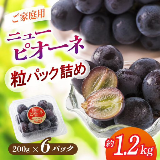 [パック詰め]岡山の自然がはぐくむピオーネ 約1.2kg [beac008-01]