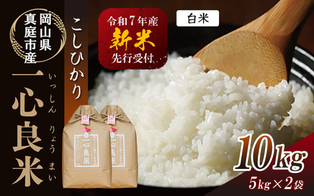 yߘa7NYz ^sYRVqJ yk͔|  10kg(5kg×2) R ytakenaka006-02z