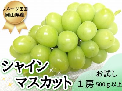 【2616-0298】[お試し] フルーツ王国岡山シャインマスカット 500g以上！朝採れぶどう1房