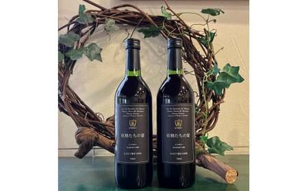 ヤマブドウ100%果汁「妖精たちの宴」2本セット ノンアルコール / ぶどう 岡山県 真庭市 [hwine003-01]