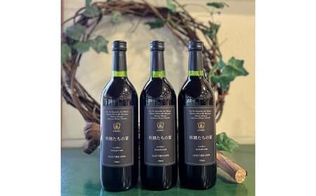 ヤマブドウ100%果汁「妖精たちの宴」3本セット ノンアルコール / ジュース 真庭市 蒜山 [hwine004-01]