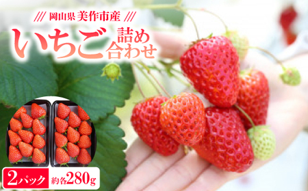 岡山県美作市産 いちご詰合せ(約280g×2パック)_果物・フルーツ いちご イチゴ 苺_[配送不可地域:離島・北海道・沖縄県]