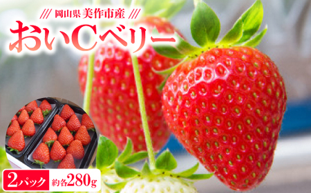 岡山県美作市産 おいCベリー(約280g×2パック)_果物・フルーツ いちご イチゴ 苺_[配送不可地域:離島・北海道・沖縄県]
