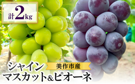 2026年先行受付　美作市産シャインマスカット1～2房＆ピオーネ2房のセット　合計2kg_果物・フルーツ ぶどう・マスカット  ブドウ 葡萄 _【配送不可地域：離島・北海道・沖縄県】【1398701】