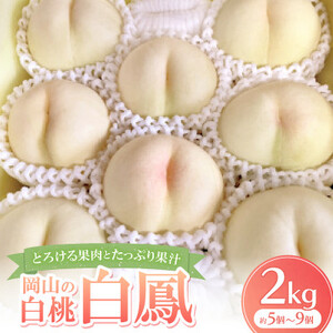 ys\E2026N7\zƂ낯ʓƂՂʏ`̉R̔EP(2kg)_ʕEt[c    _yzsnFzy1294294z