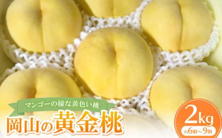 ys\E2026N8{蔭\zRYE}S[̗lȉFE(2kg)_ʕEt[c    _yzsnFzy1294300z