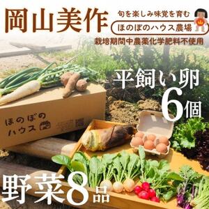 岡山美作の赤土台地でじっくり育てた季節の野菜約8種類と平飼い卵(6個入り)のセットです。_野菜 玉ねぎ  たまねぎ タマネギ  卵・乳製品 卵  たまご タマゴ 玉子  野菜 じゃがいも いも ジャガイモ 馬鈴薯  野菜 さつまいも いも サツマイモ 薩摩芋  野菜  いも イモ 芋  野菜  トマト   野菜 人参 根菜 にんじん ニンジン  野菜 大根 根菜 だいこん ダイコン  野菜 にんにく・生姜 根菜 ニンニク にんにく しょうが ショウガ  野菜  根菜   野菜 かぼちゃ  カボチャ 南瓜  野菜 茄子  なす ナス  野菜 レタス    野菜   _【配送不可地域：離島】【1530200】