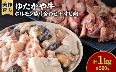 美作育ちの☆ゆたかや牛☆ホルモン盛り合わせ(500g) ・すじ肉(500g) 合計1kg_肉 牛肉 _[配送不可地域:離島]