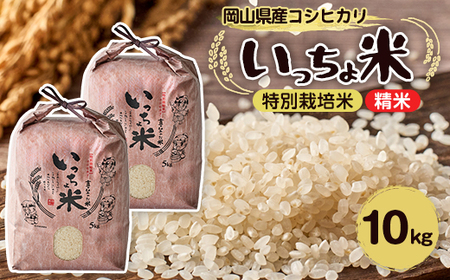 RVqJ@(5kg×2)_   _y1536084z