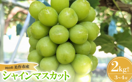 y2026NstzRsY VC}XJbg 2kg_ʕEt[c ԂǂE}XJbg  uhE  _yzsnFzy1609174z