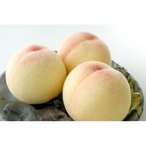 2026N R(Ӑ)Cy13ʁz_ʕEt[c    _yzsnFzy1611278z