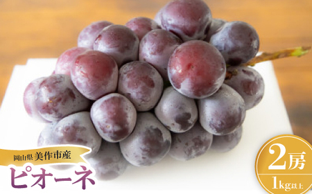 岡山県産ピオーネ 2房【配送不可地域：離島】【1625969】