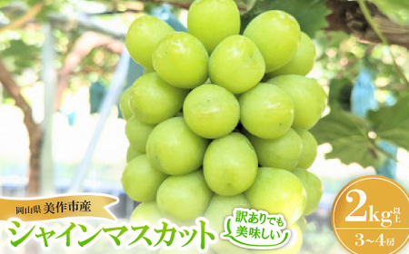 [訳あり]シャインマスカット 2Kg[配送不可地域:離島]
