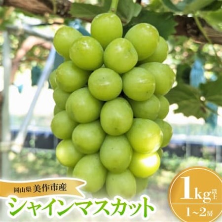 シャインマスカット1Kg 岡山県産フルーツ 1房～2房【配送不可地域：離島】【1626496】