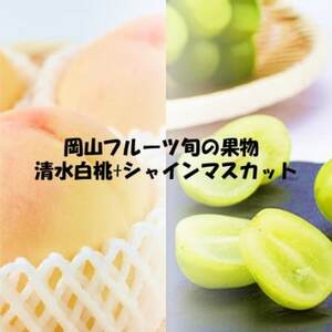 yŒցz 2026Ns\@Rt[c{̉ʕ +VC}XJbgS2yzsnFzy4069071z