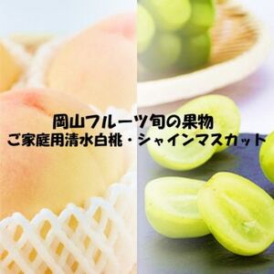 [発送月固定定期便]26年先行予約 ご家庭用 岡山旬のフルーツ 清水白桃とシャインマスカット全2回[配送不可地域:離島]