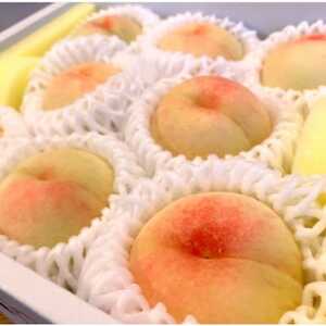 [先行予約★2026年7月中旬より順次発送予定]岡山県産 白鳳(2kg箱)[配送不可地域:離島・北海道・沖縄県]