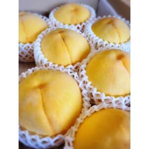 [先行予約★2026年9月中旬より順次発送予定]岡山県産 黄金桃(2kg箱)[配送不可地域:離島・北海道・沖縄県]