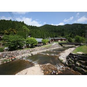 kނ̌yt@~[ꌔzy1672833z