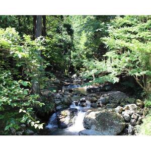 kނ̌yl1 񐔌zy1672840z