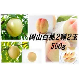 岡山白桃食べ比べ 早生2種2玉[配送不可地域:離島]