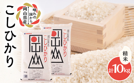 �y�ߘa7�N�Y�z���R���Y�����Ђ���10kg(5kg×2��)�y1695605�z