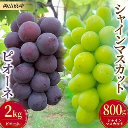 【発送月固定定期便】ぶどうのセット(ピオーネ2kg・シャインマスカット1房)全2回【配送不可地域：離島】【4086730】
