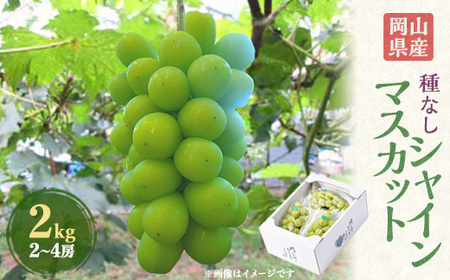 2026Ns\@RYVC}XJbg2kg(2`4[)_ʕEt[c ԂǂE}XJbg  uhE  _yzsnFzy1112965z