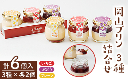 岡山プリン3種詰合せ 6個入(いちご・ぶどう・プレーン)_菓子・スイーツ プリン _[配送不可地域:離島]