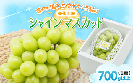 [2026年先行受付]岡山県美作市産 シャインマスカット 1房(700g以上)[配送不可地域:離島]
