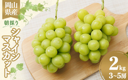 �y2026�N��s��t�z���R���Y�@���̂�V���C���}�X�J�b�g�@2kg_�ʕ��E�t���[�c �Ԃǂ��E�}�X�J�b�g  �u�h�E ���� _�y�z���s�n��F�����z�y1073053�z