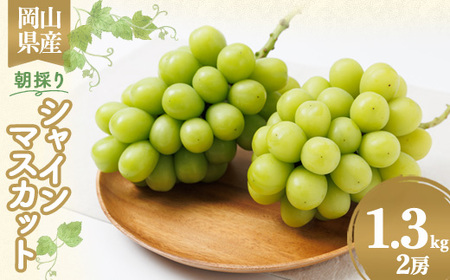 �y2026�N��s��t�z���R���Y�@���̂�V���C���}�X�J�b�g�@1.3kg_�ʕ��E�t���[�c �Ԃǂ��E�}�X�J�b�g  �u�h�E ���� _�y�z���s�n��F�����z�y1395859�z