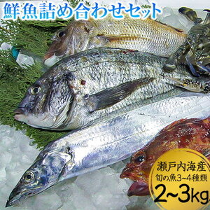 岡山県産 魚の返礼品 検索結果 | ふるさと納税サイト「ふるなび」