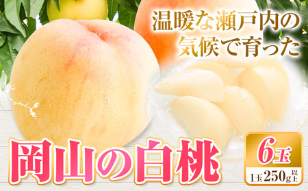[2025年先行予約]白桃 岡山 6玉 ウィズフラワーホールディングス[7月上旬-9月上旬頃出荷]岡山県 浅口市 桃 もも フルーツ 旬 果物 国産 岡山県産 送料無料 冷蔵[配送不可地域あり](北海道・沖縄・離島)桃桃桃桃桃