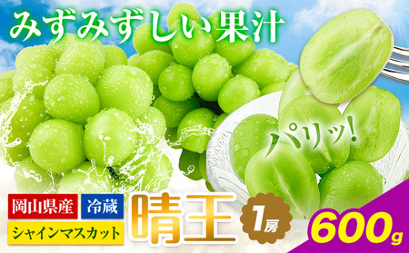 Ԃǂy2025Ns\zVC}XJbg  1[ 600g RYs9{-11{o(yj)t nmt[c }XJbg  R s t[c ʕ 蕨 Mt