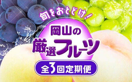 [2025年先行予約]岡山の厳選フルーツ 定期便3回コース 岡山の白桃 6玉(1.6kg以上) ニューピオーネ 2房(1房600g以上) シャインマスカット 晴王 2(1600g) 化粧箱入り 株式会社山博(中本青果) [2025年7月上旬-10月下旬頃出荷]岡山県 浅口市 送料無料 [配送不可地域あり]