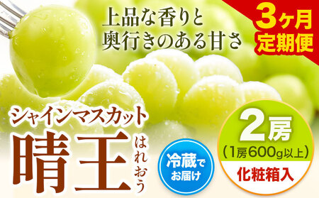 [2025年先行予約][3ヶ月定期便] シャインマスカット マスカット 晴王 はれおう 2房入り(1房600g以上) 化粧箱入 株式会社山博(中本青果)[2025年8月・9月・10月計3回出荷予定] 定期 計3回お届け 岡山県 浅口市 ぶどう マスカット 大粒 フルーツ 秀品 旬 果物 贈り物 ギフト 送料無料 [配送不可地域あり]
