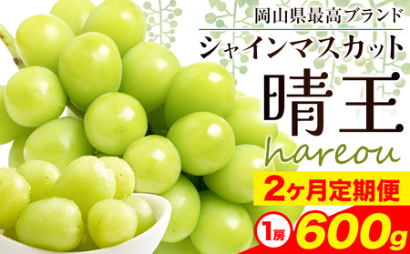 シャインマスカット マスカット 晴王 岡山県産 定期便 2ヶ月 9月・10月発送 [2024年先行予約][9月中旬-10月中旬頃出荷(土日祝除く)]1房 約600g ハレノスイーツ 岡山中央卸売市場店 マスカット 送料無料 岡山県 浅口市 フルーツ[配送不可地域あり]