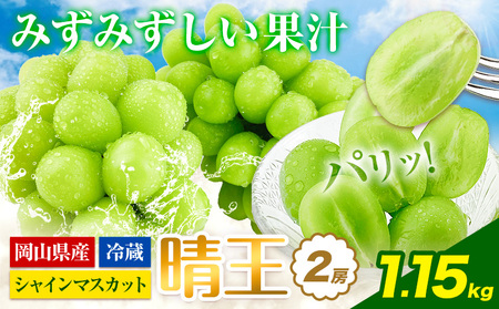 Ԃǂy2025Ns\zVC}XJbg  2[ 1.15kg RYs9{-11{o(yj)t nmt[c }XJbg  R s t[c ʕ 蕨 Mt