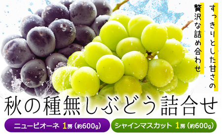 y2026Ns\zH̎햳Ԃǂl j[sI[l VC}XJbg 1[600g RЁs2026N9{-10{oׁtR s j[sI[l VC}XJbg