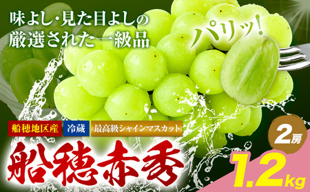 y2026Ns\tzō VC}XJbg Ԃǂ DԏG 2[ 1.2kgs2026N9{-10o(yj)tnmt[c }XJbg  R s t[c 