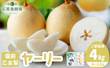 [先行予約]梨 なし ナシ ヤーリー 鴨梨 備前乙女梨 4kg 6〜13玉[11月中旬-12月下旬頃より発送予定]石原果樹園 岡山県 浅口市 果物 フルーツ 新鮮|なし 訳あり