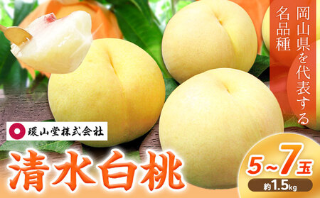 y2026Ns\z   5`7 1.5kg RY RЁyzsn悠zikCEEjs2026N7{-7{oׁtR s  ʕ t[c