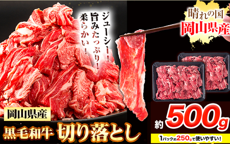  јa ؂藎Ƃ 500gs30ȓɏoח\(yj)t R s   a  J[  pbN 250g 